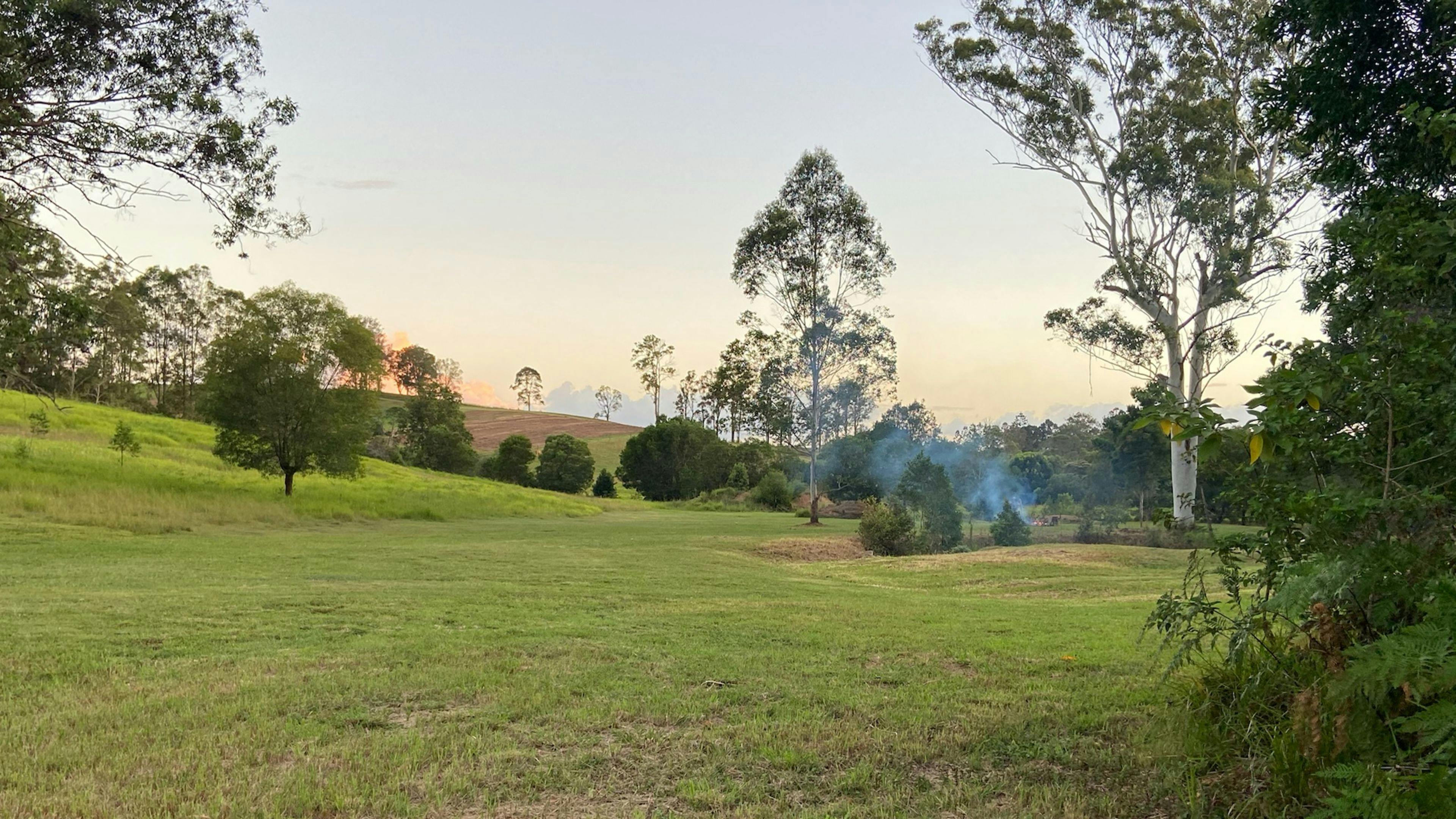 Flame Tree Valley Gympie