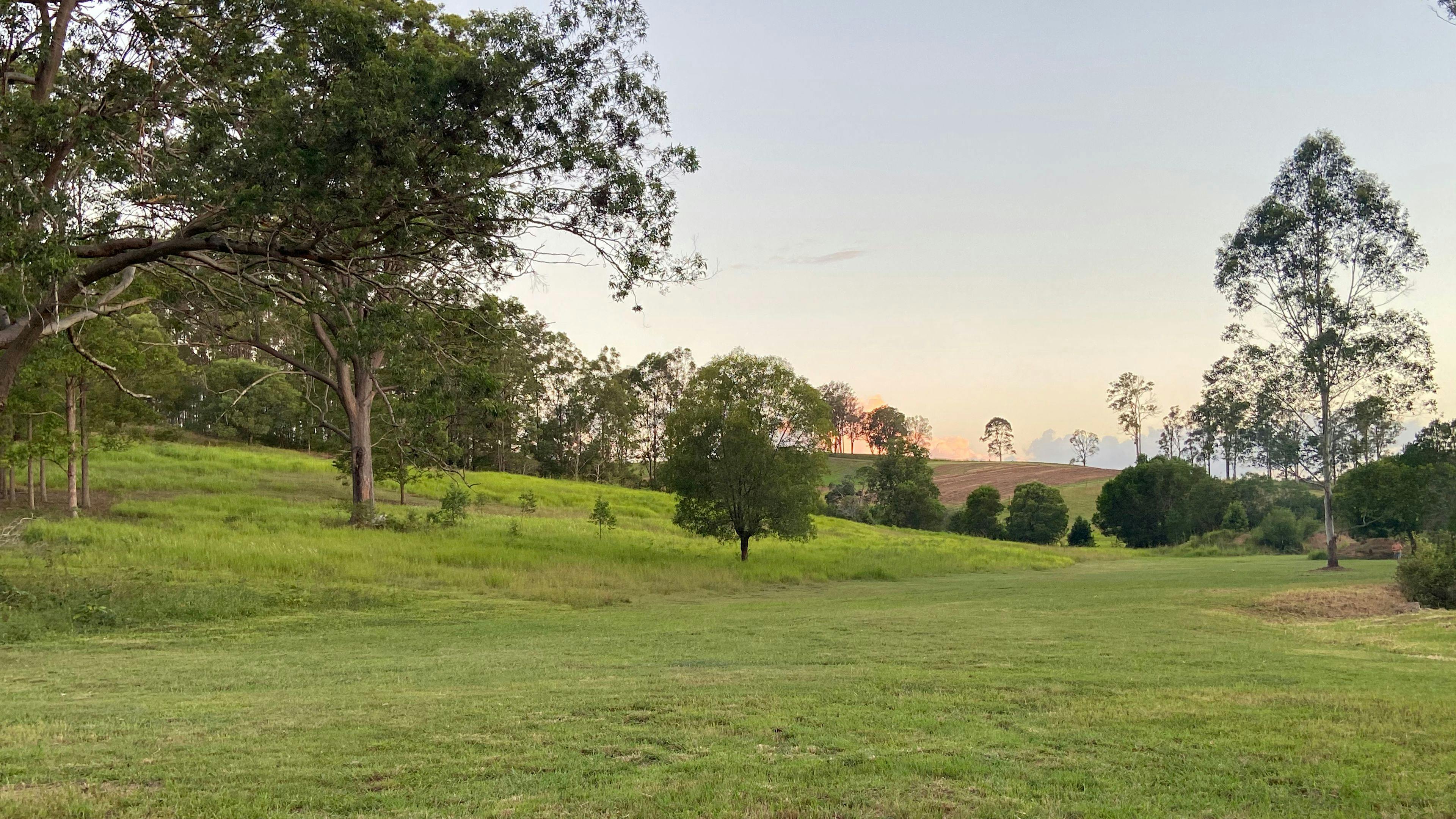 Flame Tree Valley Gympie