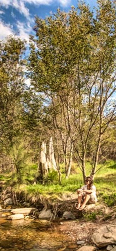 Flea Creek campground, Brindabella National Park. Photo: Murray Vanderveer/OEH
