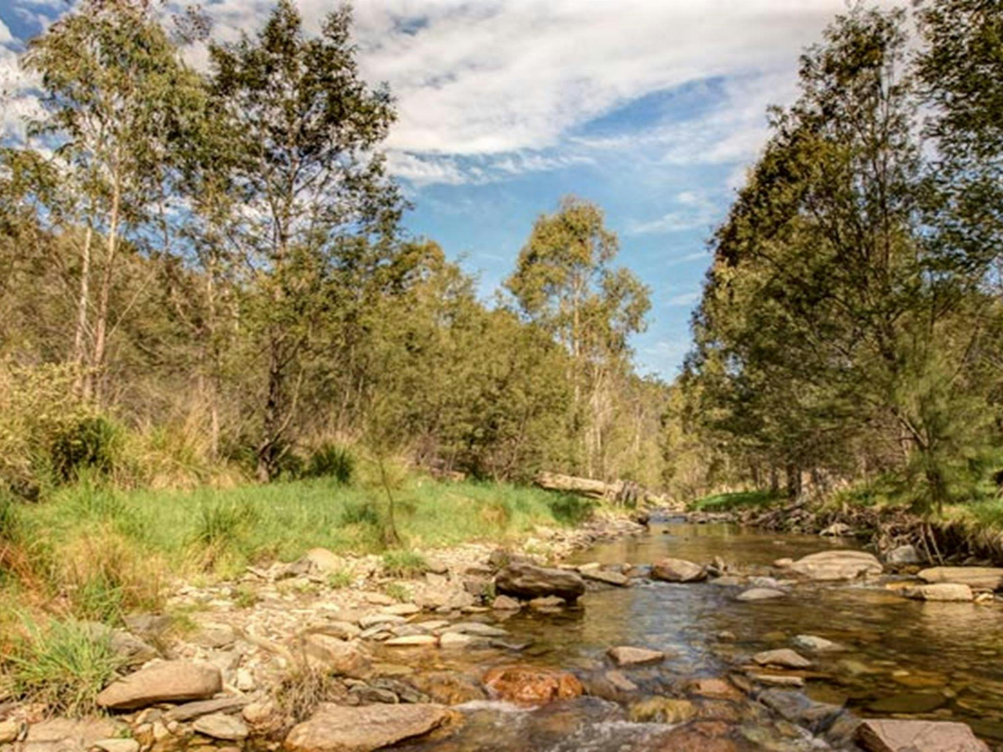 Flea Creek campground, Brindabella National Park. Photo: Murray van der Veer/NSW Government
