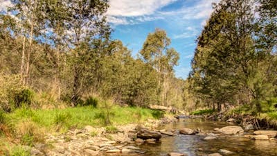 Flea Creek campground, Brindabella National Park. Photo: Murray van der Veer/NSW Government