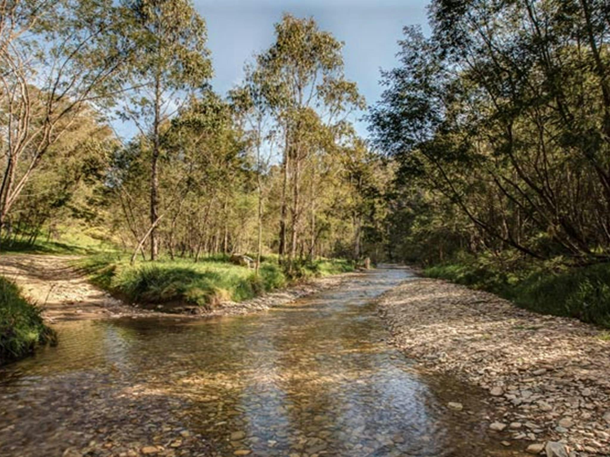 Flea Creek campground, Brindabella National Park. Photo: Murray van der Veer/NSW Government