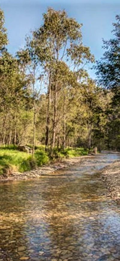 Flea Creek campground, Brindabella National Park. Photo: Murray van der Veer/NSW Government