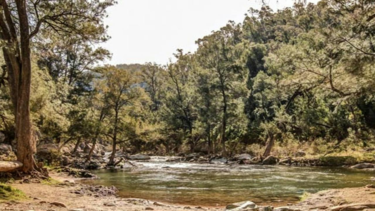 Flea Creek picnic area