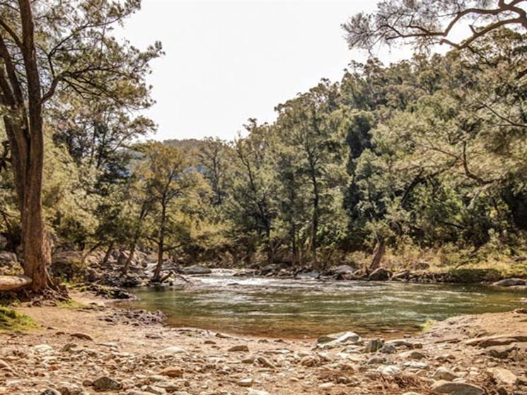 Flea Creek campground, Brindabella National Park. Photo: Murray van der Veer/NSW Government