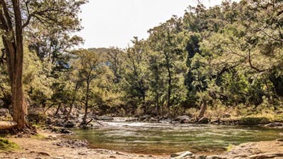 Flea Creek campground, Brindabella National Park. Photo: Murray van der Veer/NSW Government