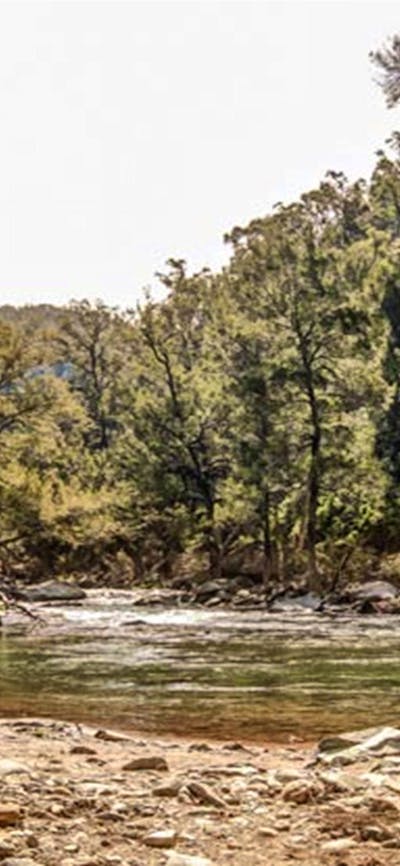 Flea Creek campground, Brindabella National Park. Photo: Murray van der Veer/NSW Government
