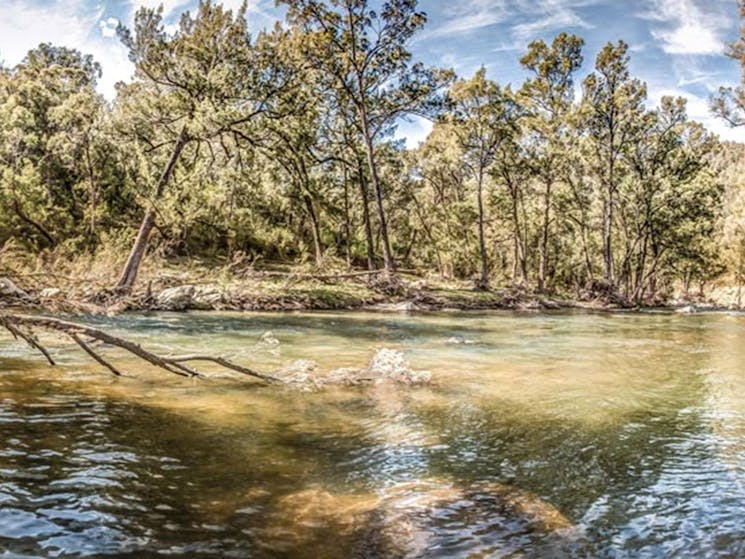 Flea Creek campground, Brindabella National Park. Photo: Murray van der Veer/NSW Government