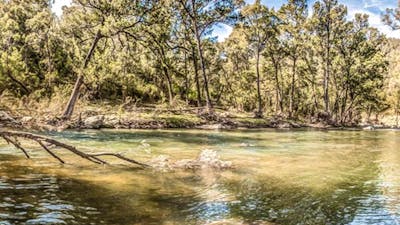 Flea Creek campground, Brindabella National Park. Photo: Murray van der Veer/NSW Government