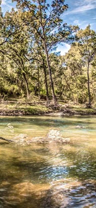 Flea Creek campground, Brindabella National Park. Photo: Murray van der Veer/NSW Government