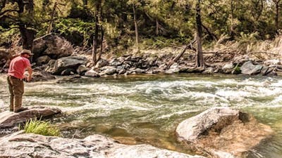 Flea Creek campground, Brindabella National Park. Photo: Murray van der Veer/NSW Government