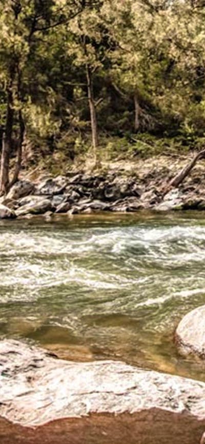 Flea Creek campground, Brindabella National Park. Photo: Murray van der Veer/NSW Government