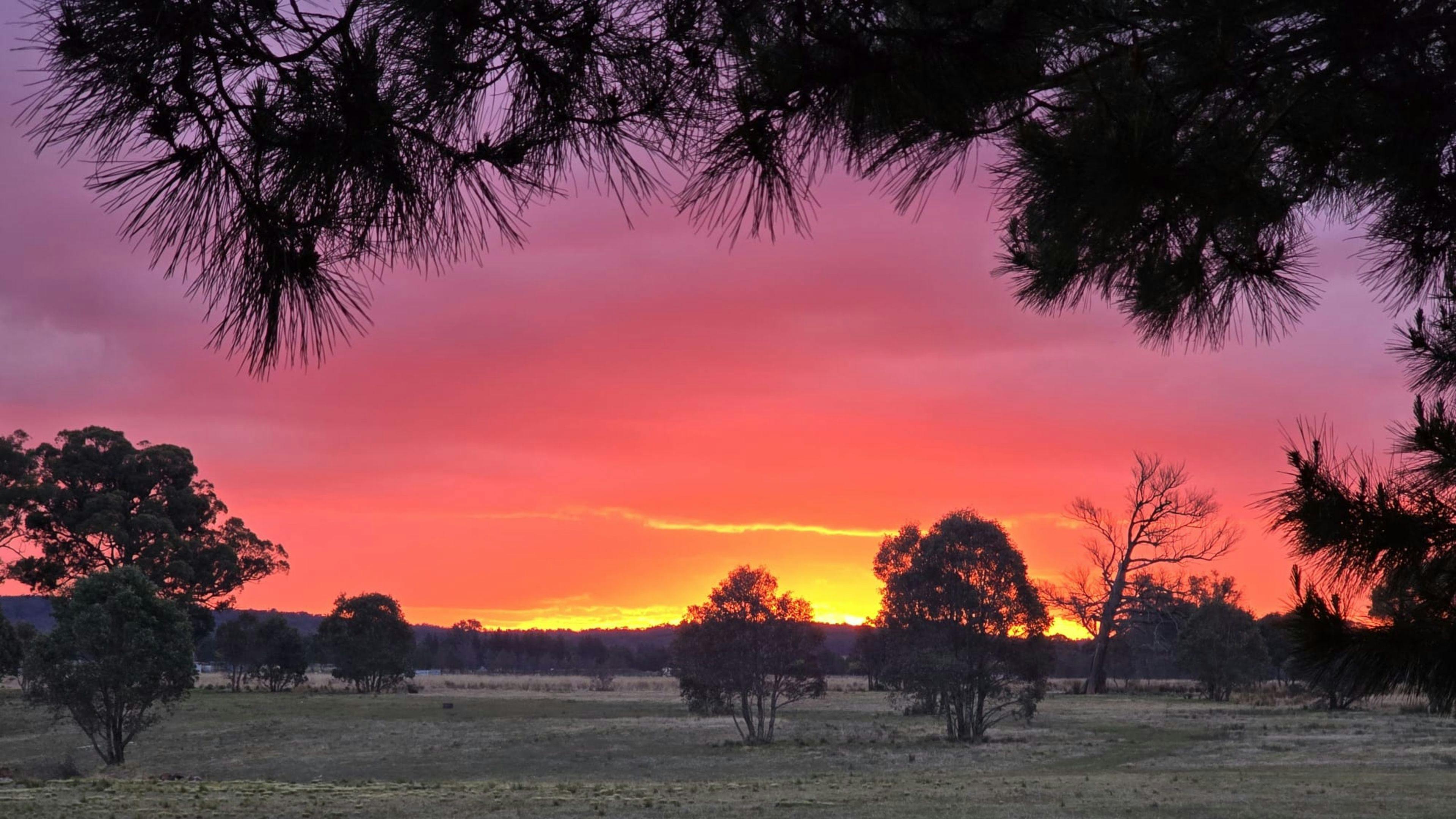 The Hobby Sheep Farm