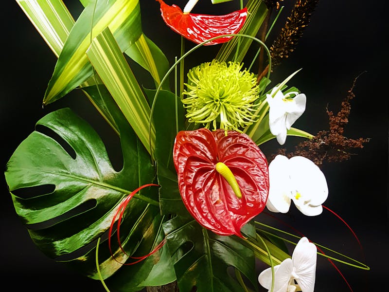 Image for Floristry Class: Working with Tropical Flowers