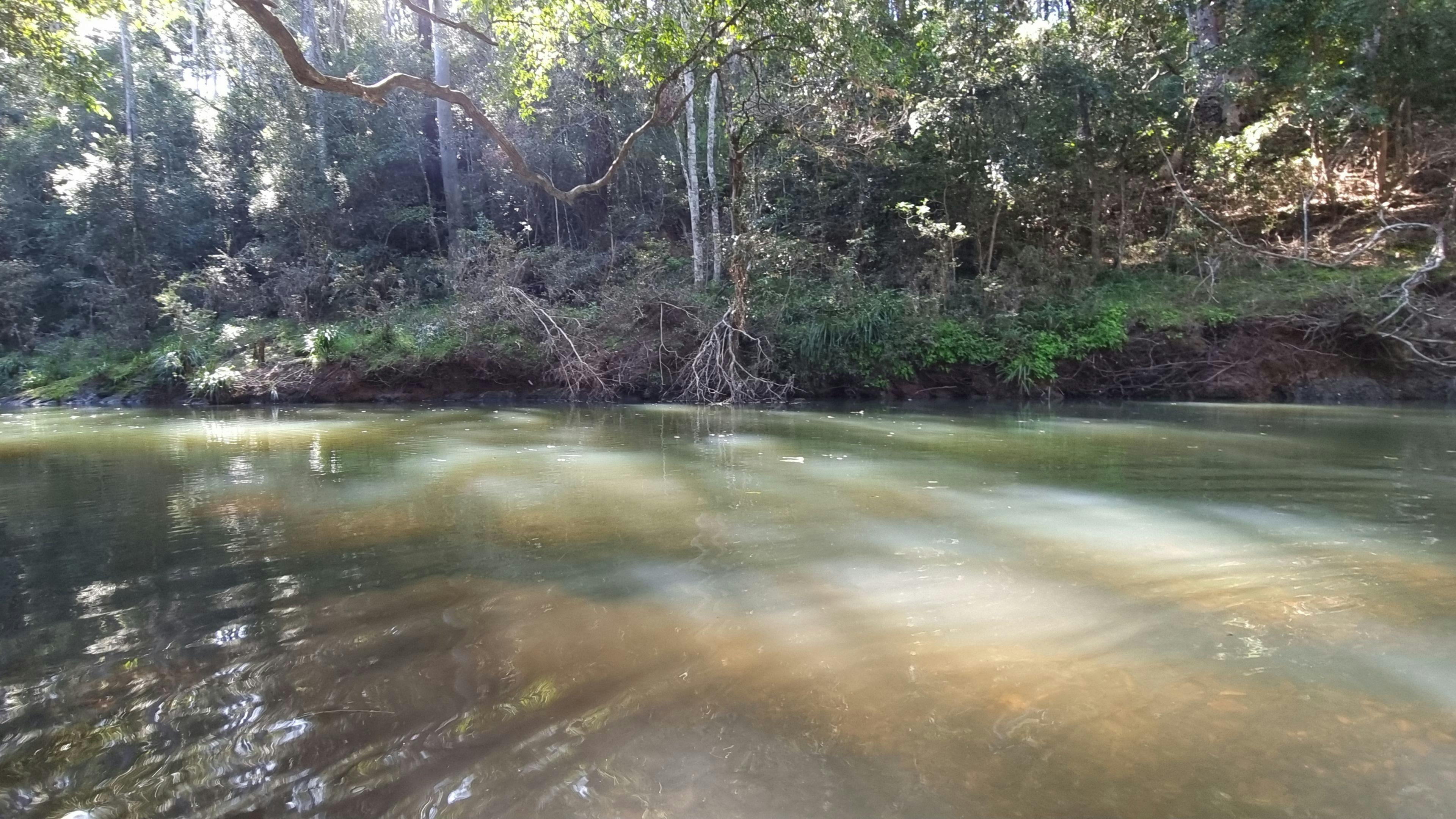 플로우 크릭 농장