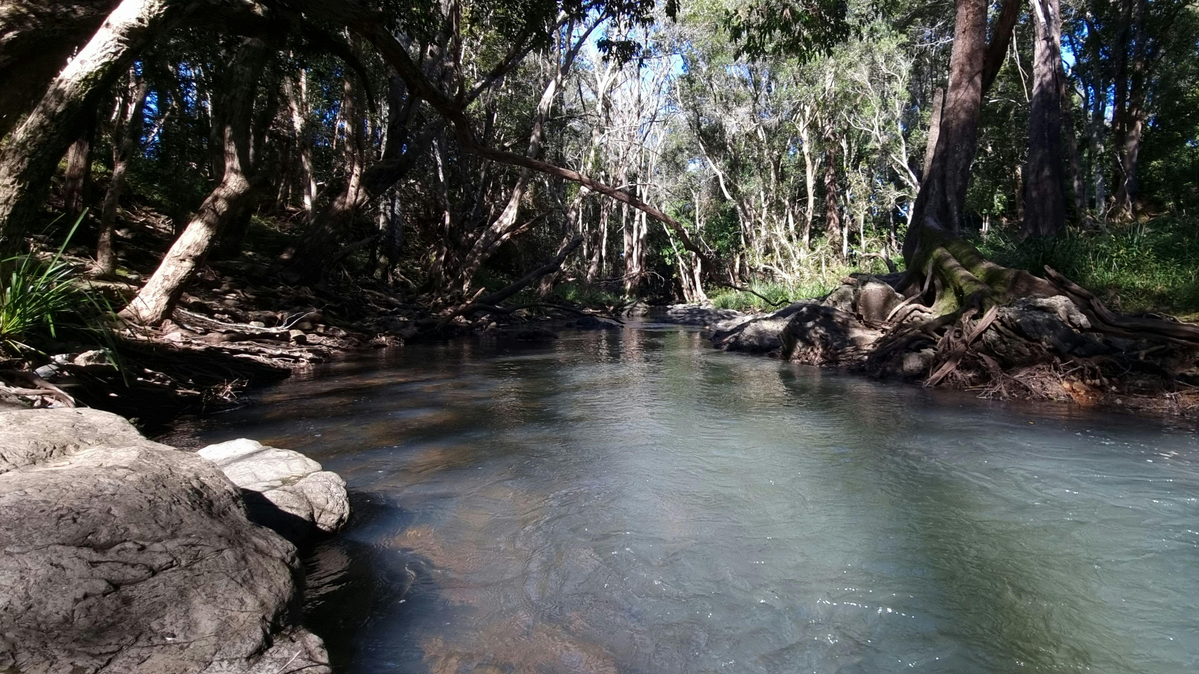 플로우 크릭 농장