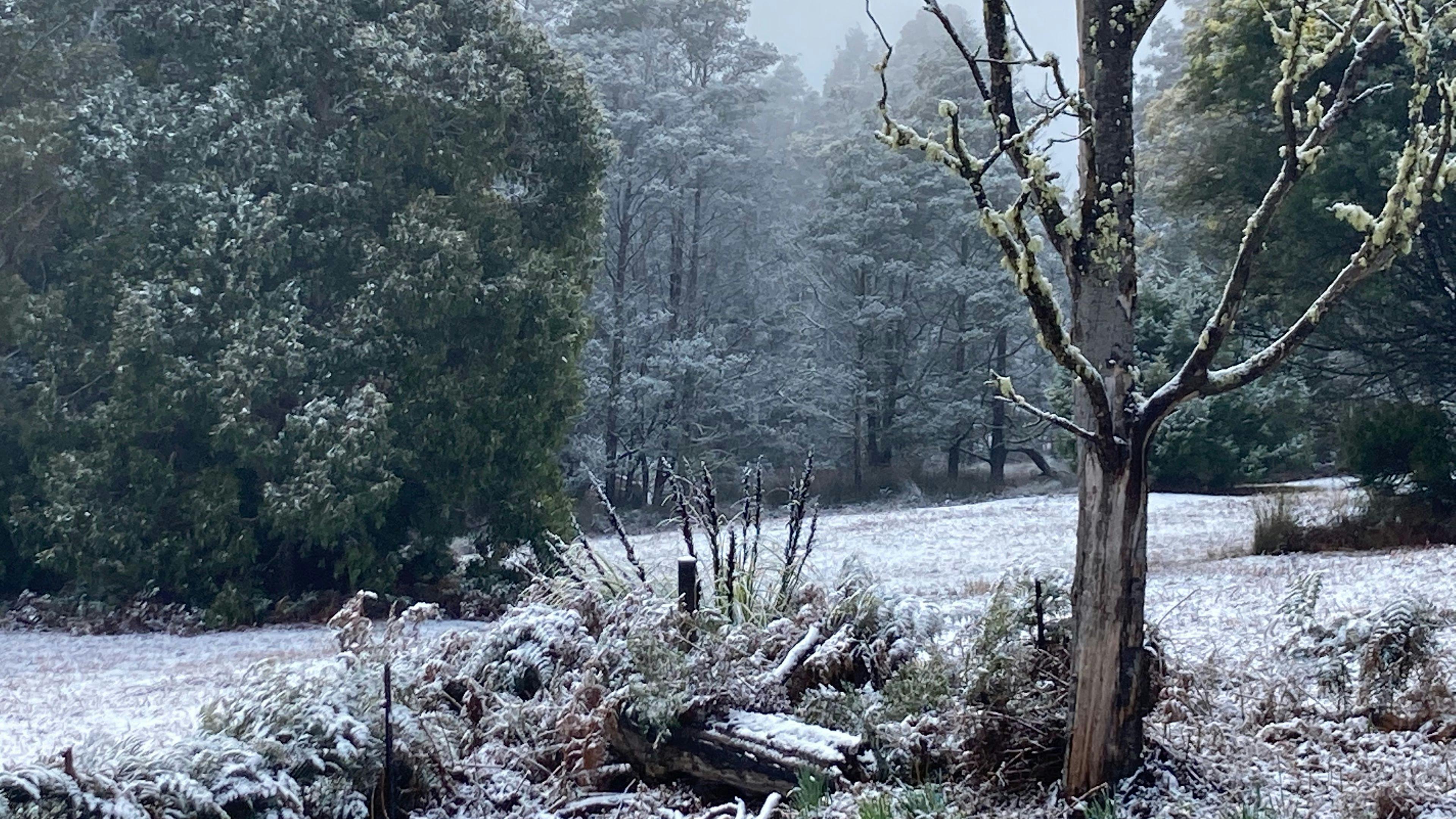Hobart Hills Hide Out