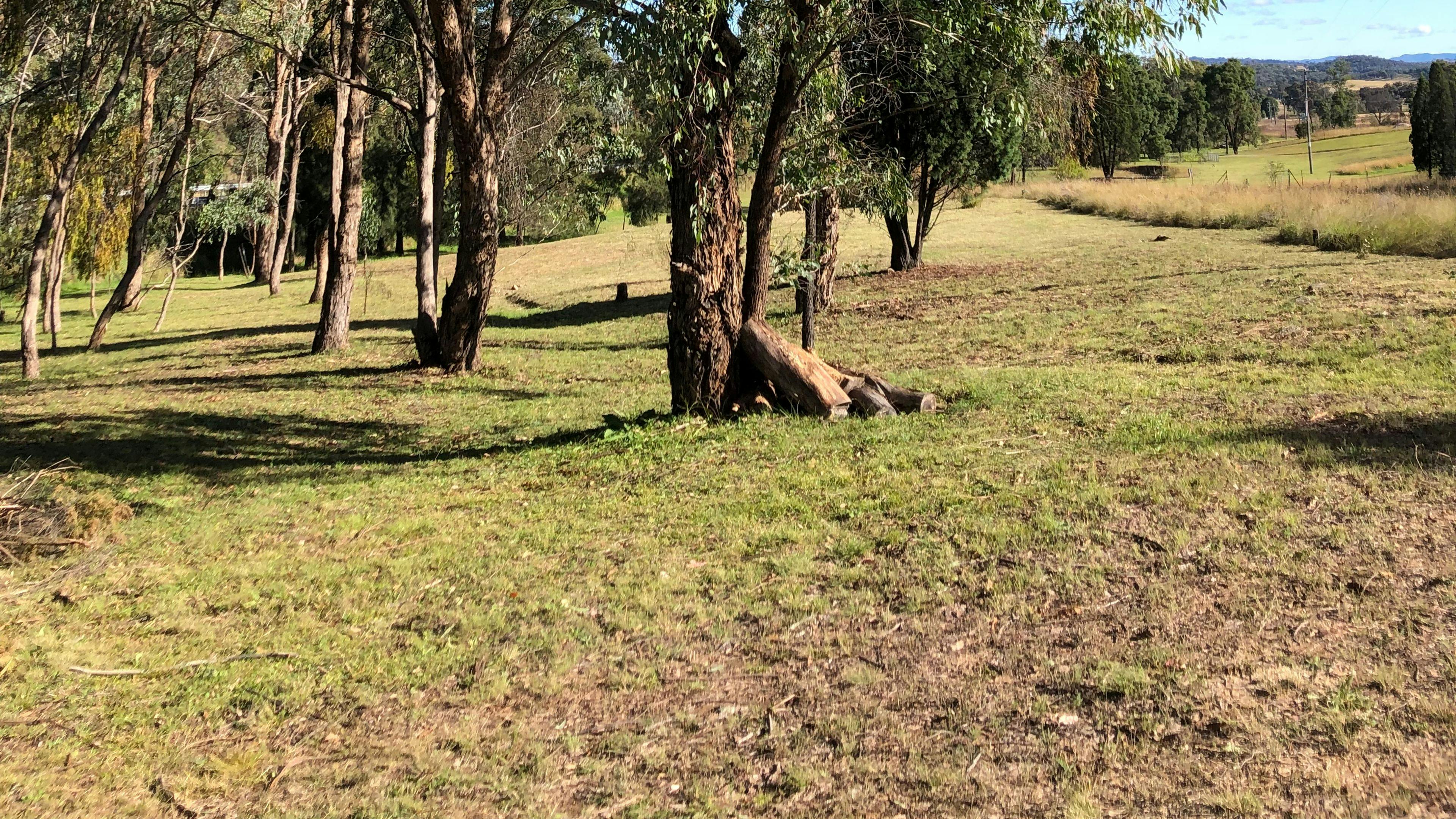 Follyfoot Meadow