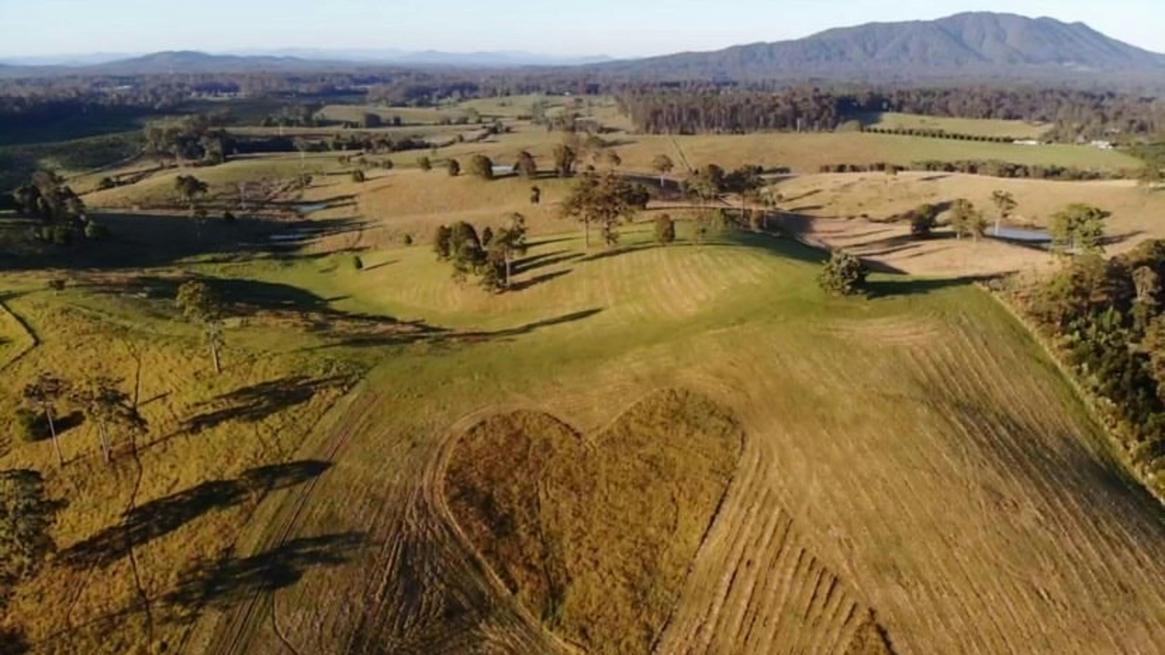 From camper @bodhihallas