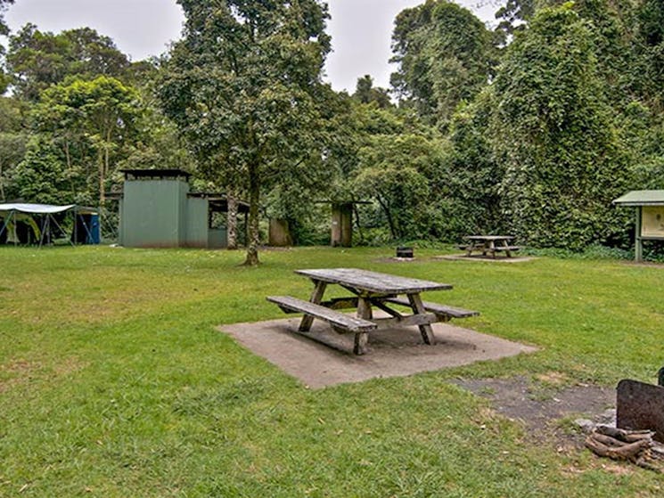 Picnic table and wood campfire facilities at Forest Tops campground, Border Ranges National Park.
