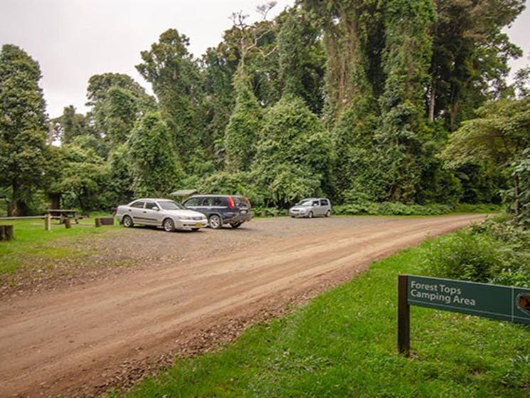 Signage at entry to Forest Tops campground, Border Ranges National Park. Photo credit: John Spencer