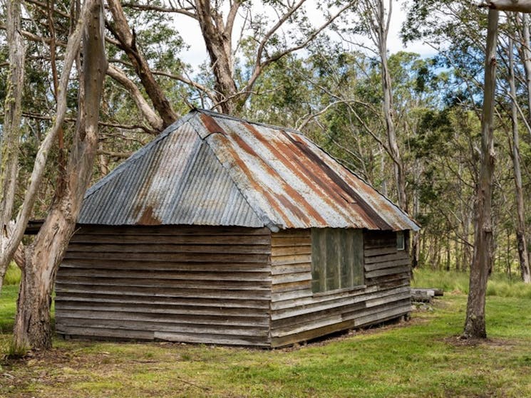 Historic McClifty’s Hut, located just metres away from Four Bull Hut in Washpool National Park.