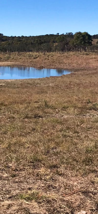 Miranda Springs Farm Stay