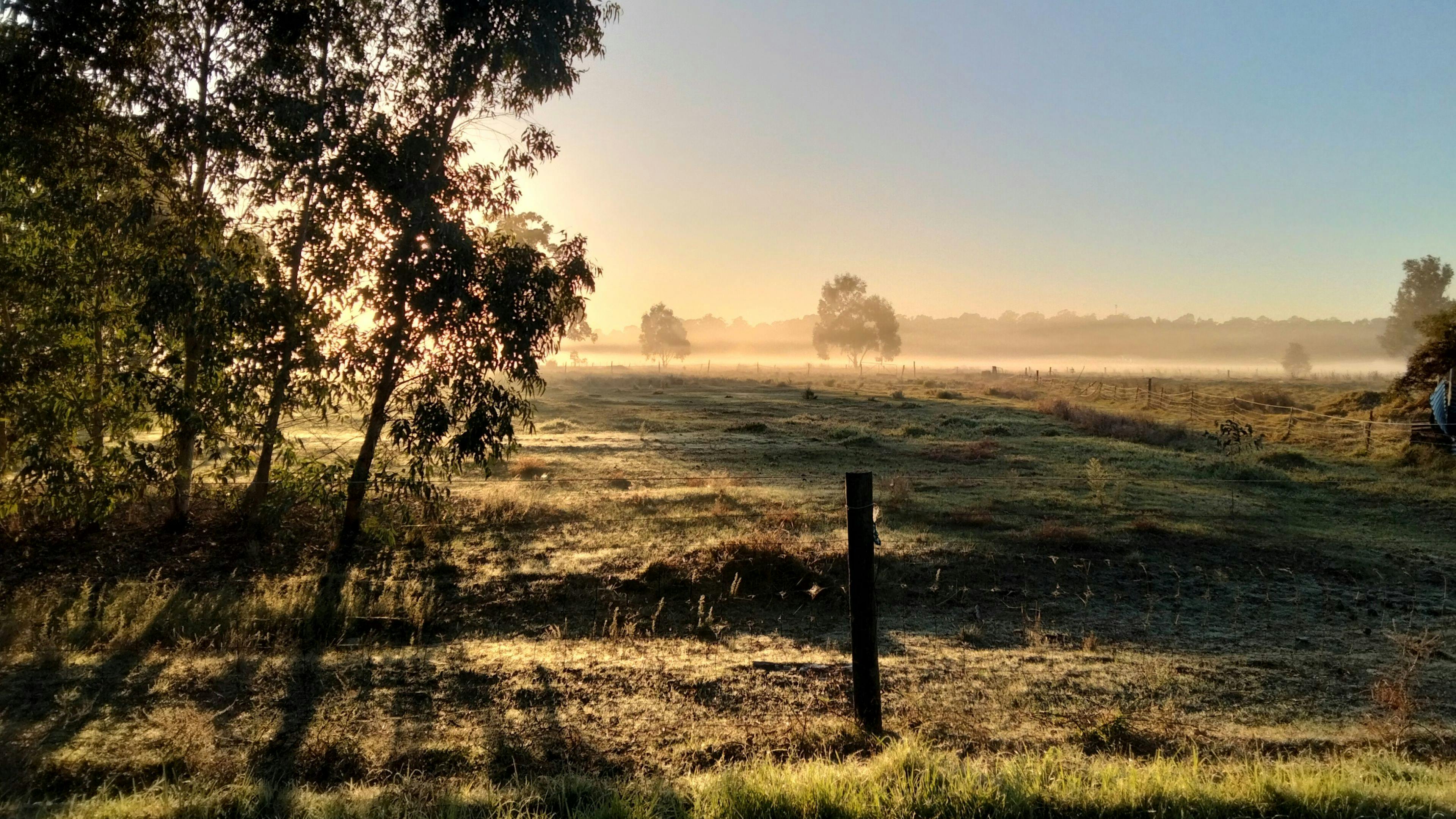 Freedom Farmstay - Baldivis Rural