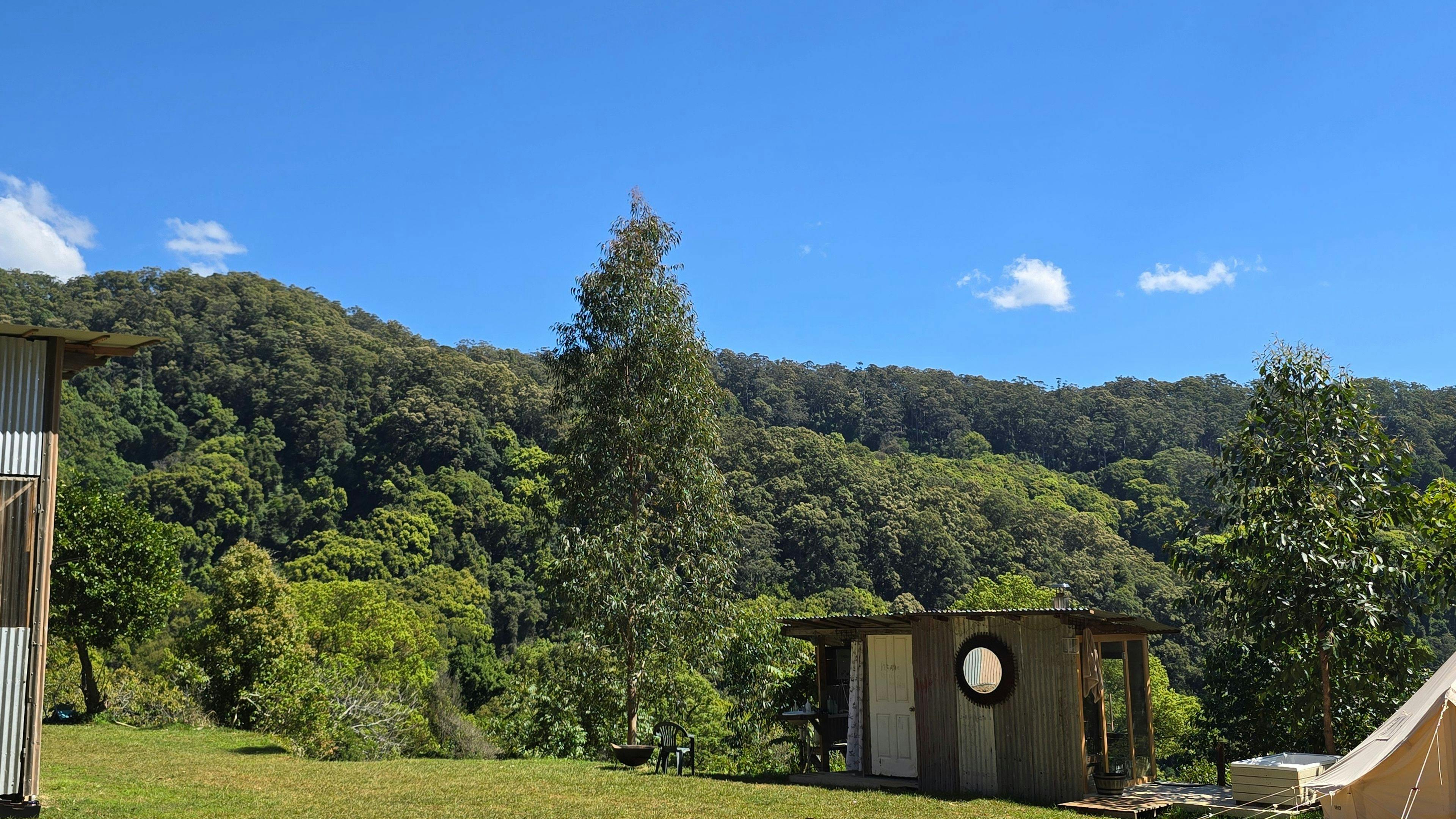 Wood fired sauna