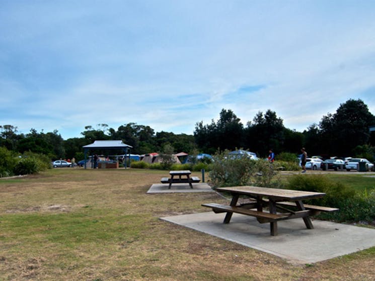 Picnic tables in Freemans campground, Munmorah State Conservation Area. Photo: John Spencer/DPIE