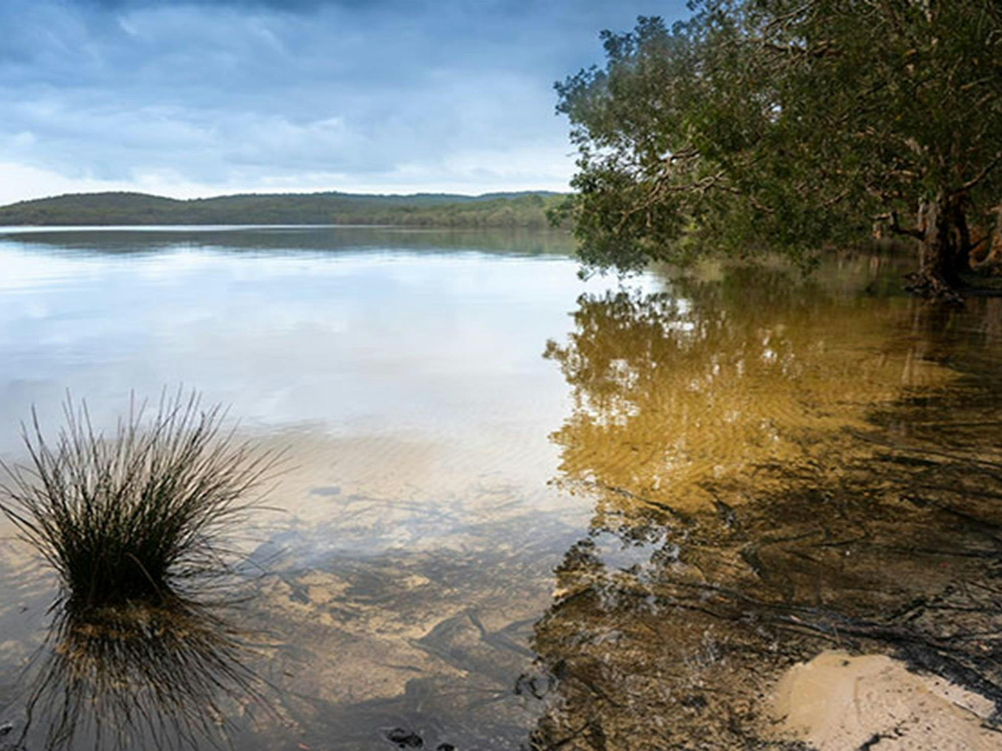 Sandy shallows of Two Mile Lake with wooded shoreline and views to the distant shore. Photo: John