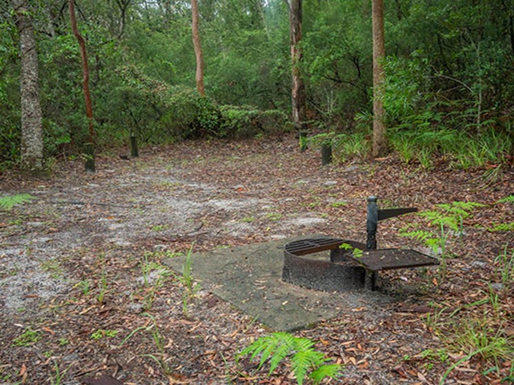 View of sandy camping area with wood barbecue, surrounded by trees and lush green undergrowth.
