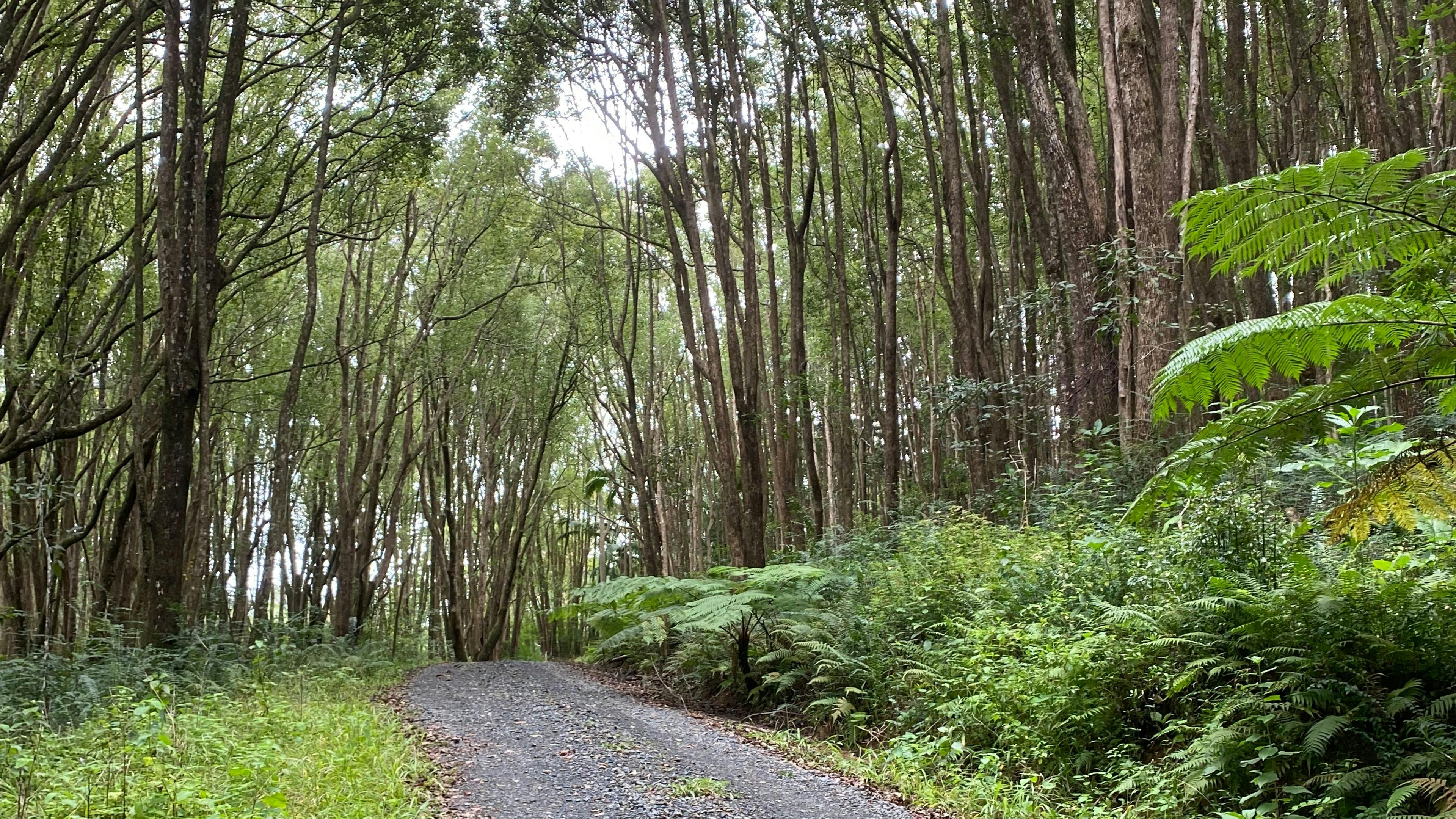 금요일 오두막 탈출