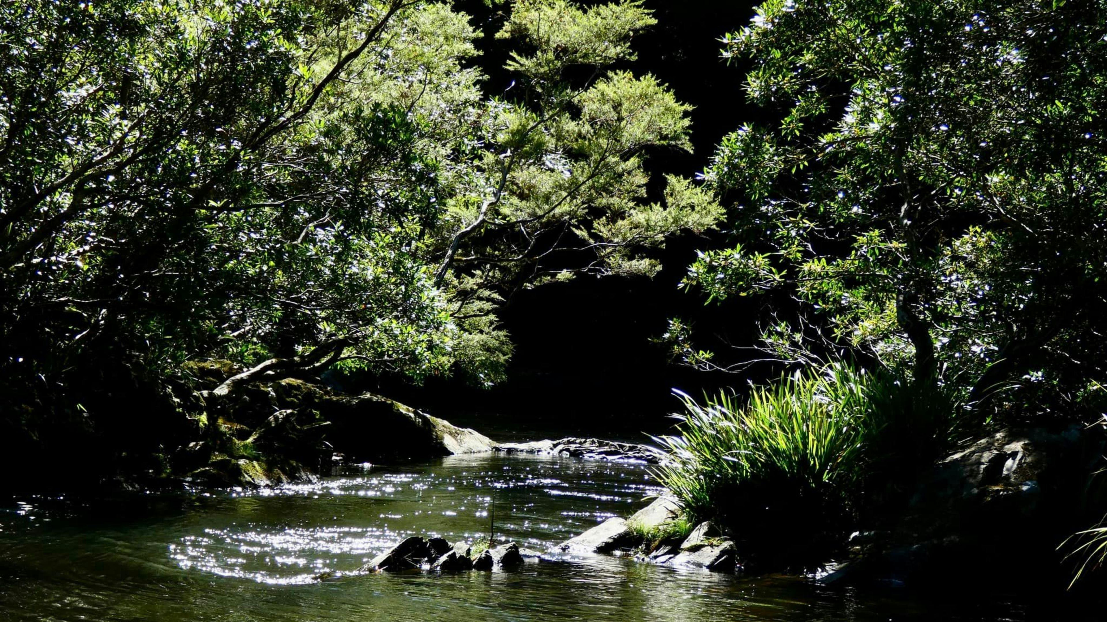 Private swimming hole