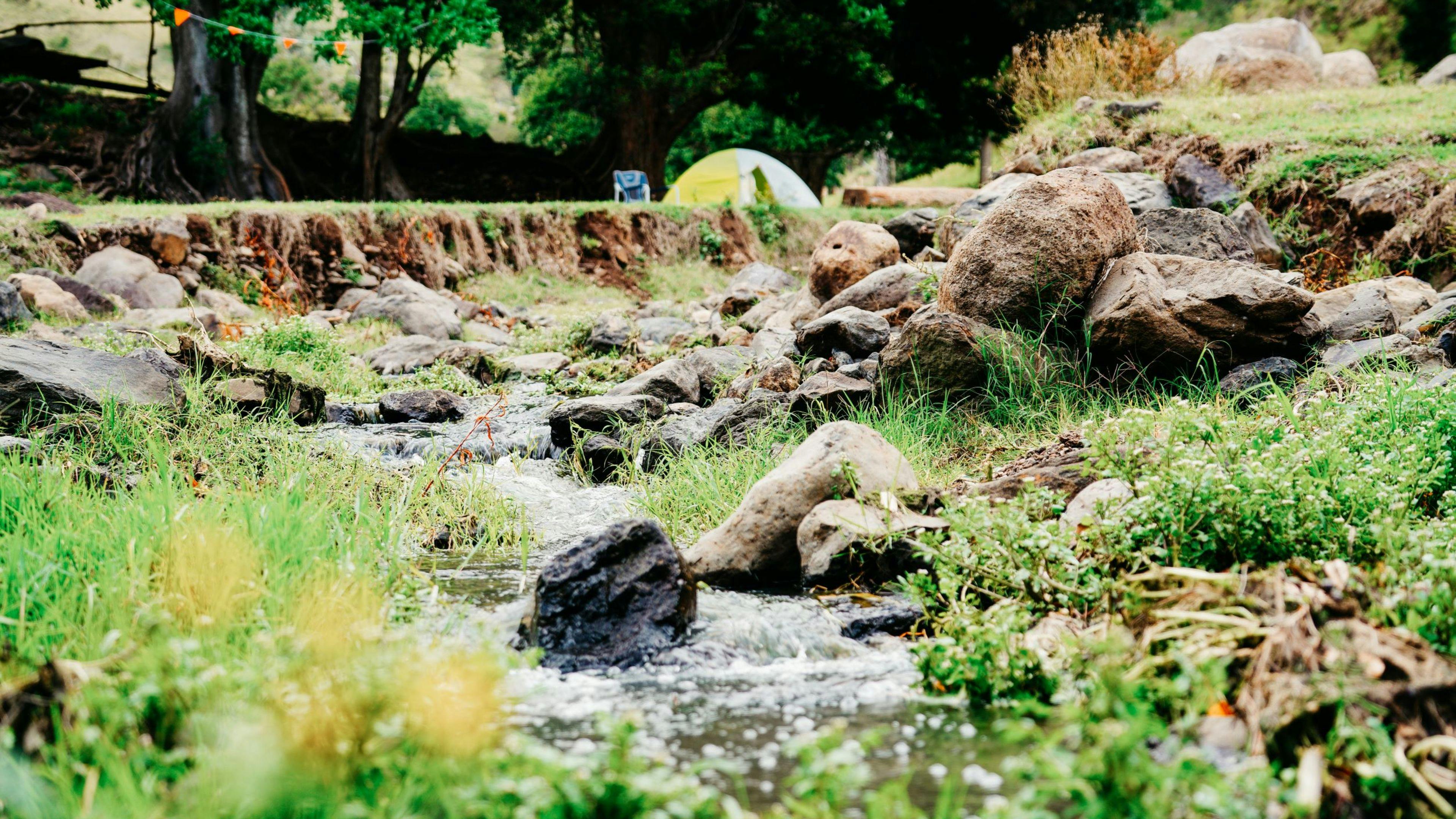 Frog’s Hollow Scenic Rim