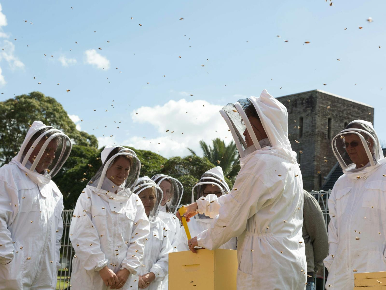 Image for Full-day Beginners Beekeeping Workshop