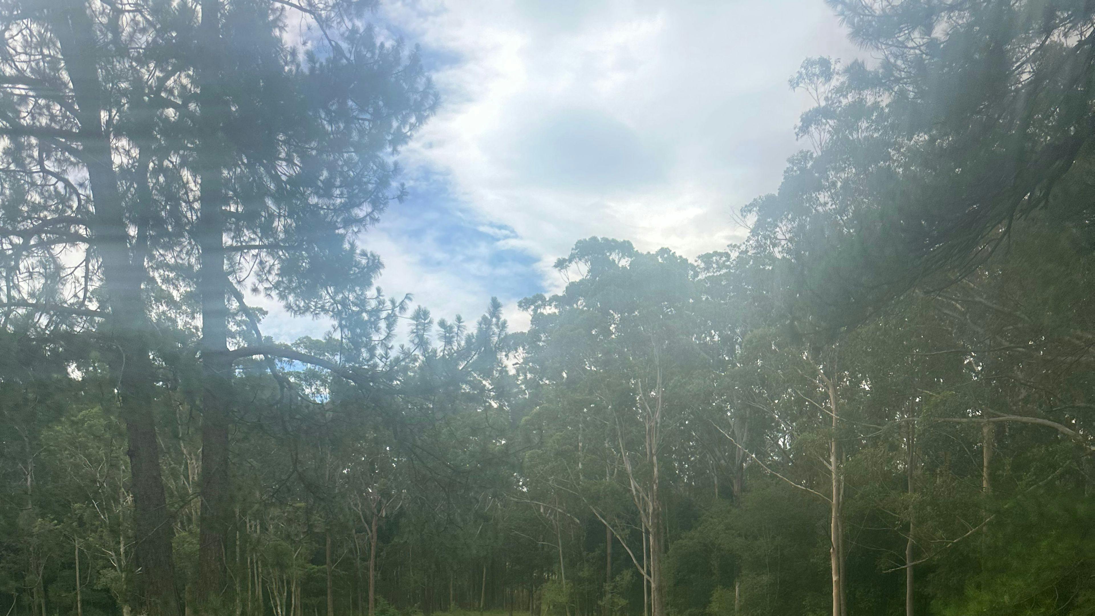 Funny Farm Cooranbong