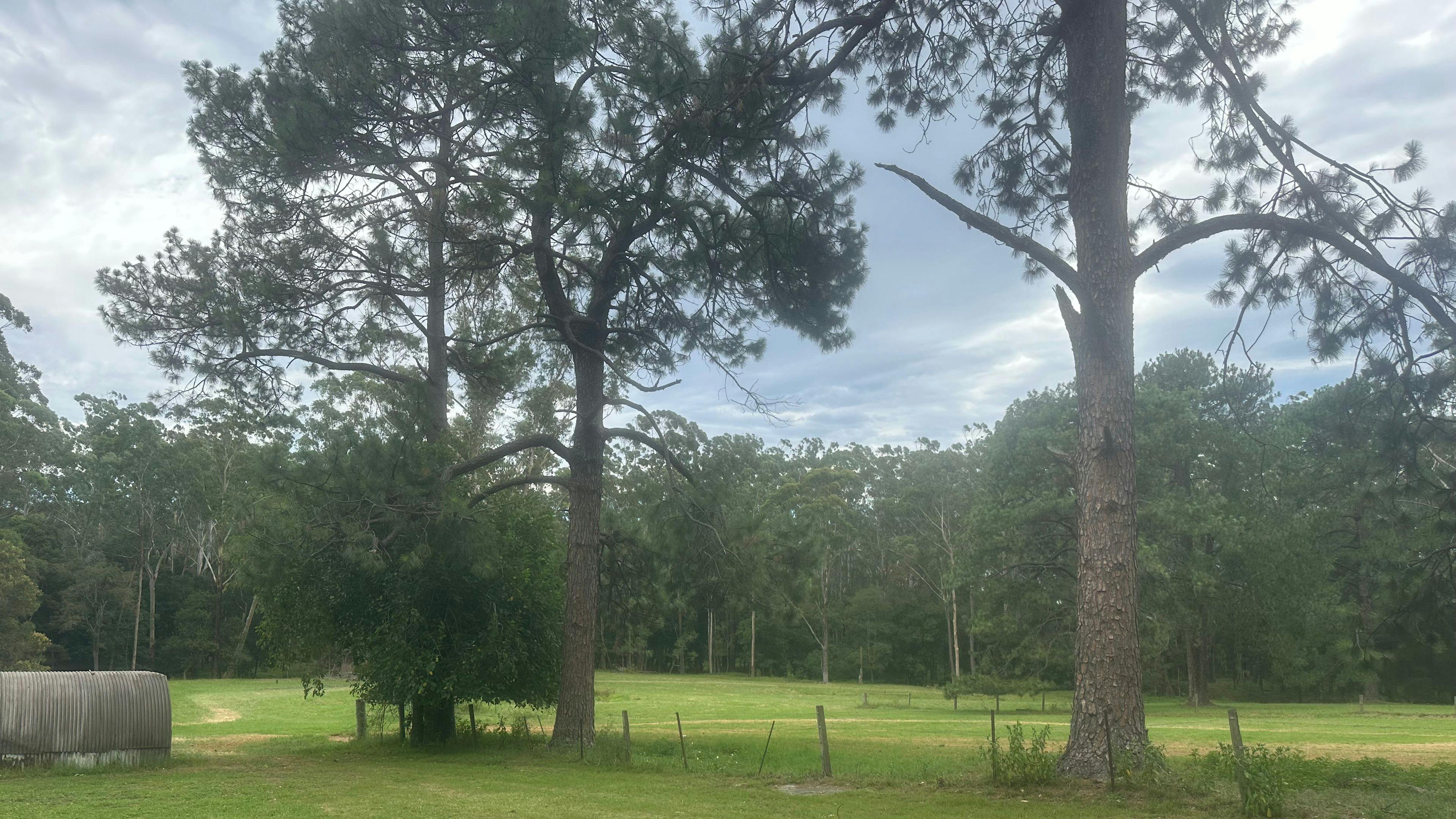 Funny Farm Cooranbong