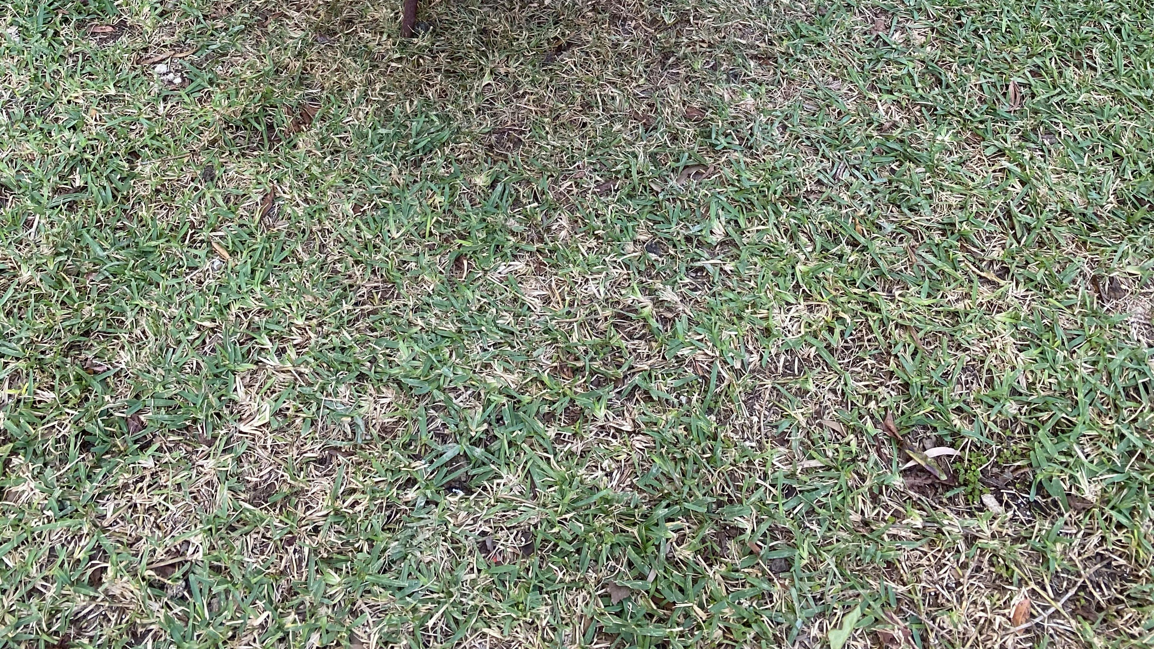 Funny Farm Frazerview