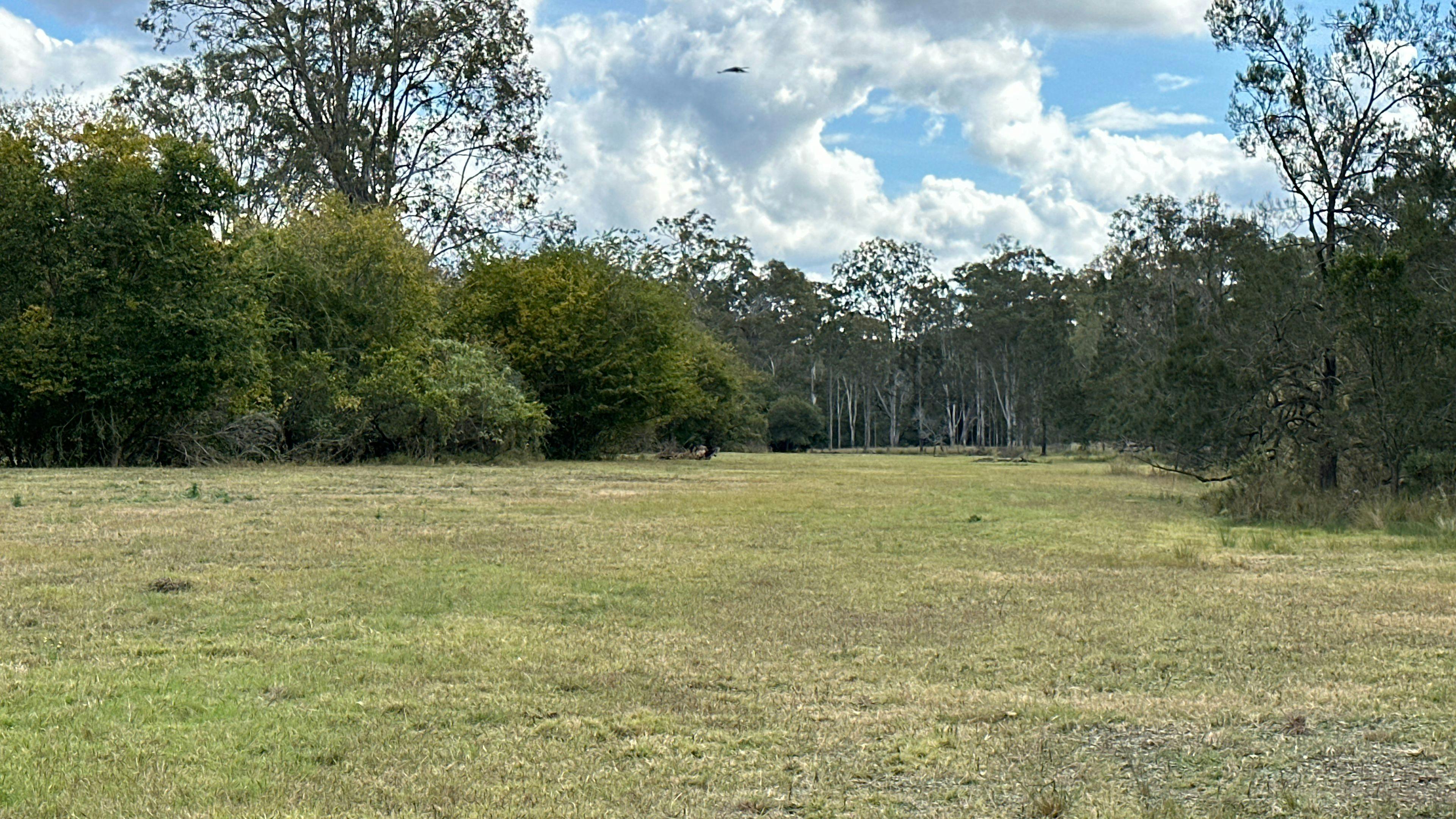 Funny Farm Frazerview