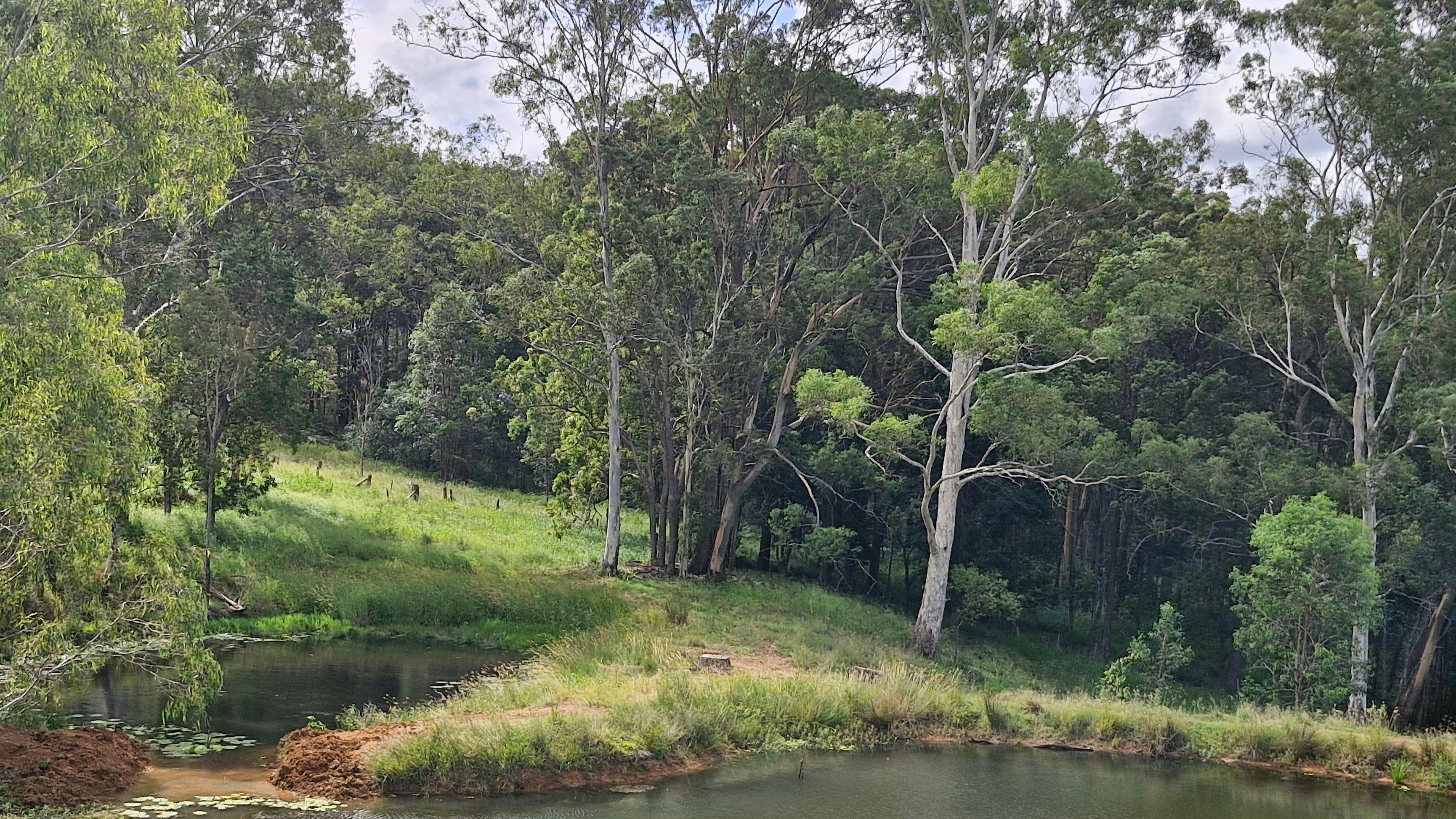 Poinciana Farmstay