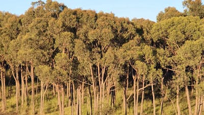 Perfect reflections in the morning.