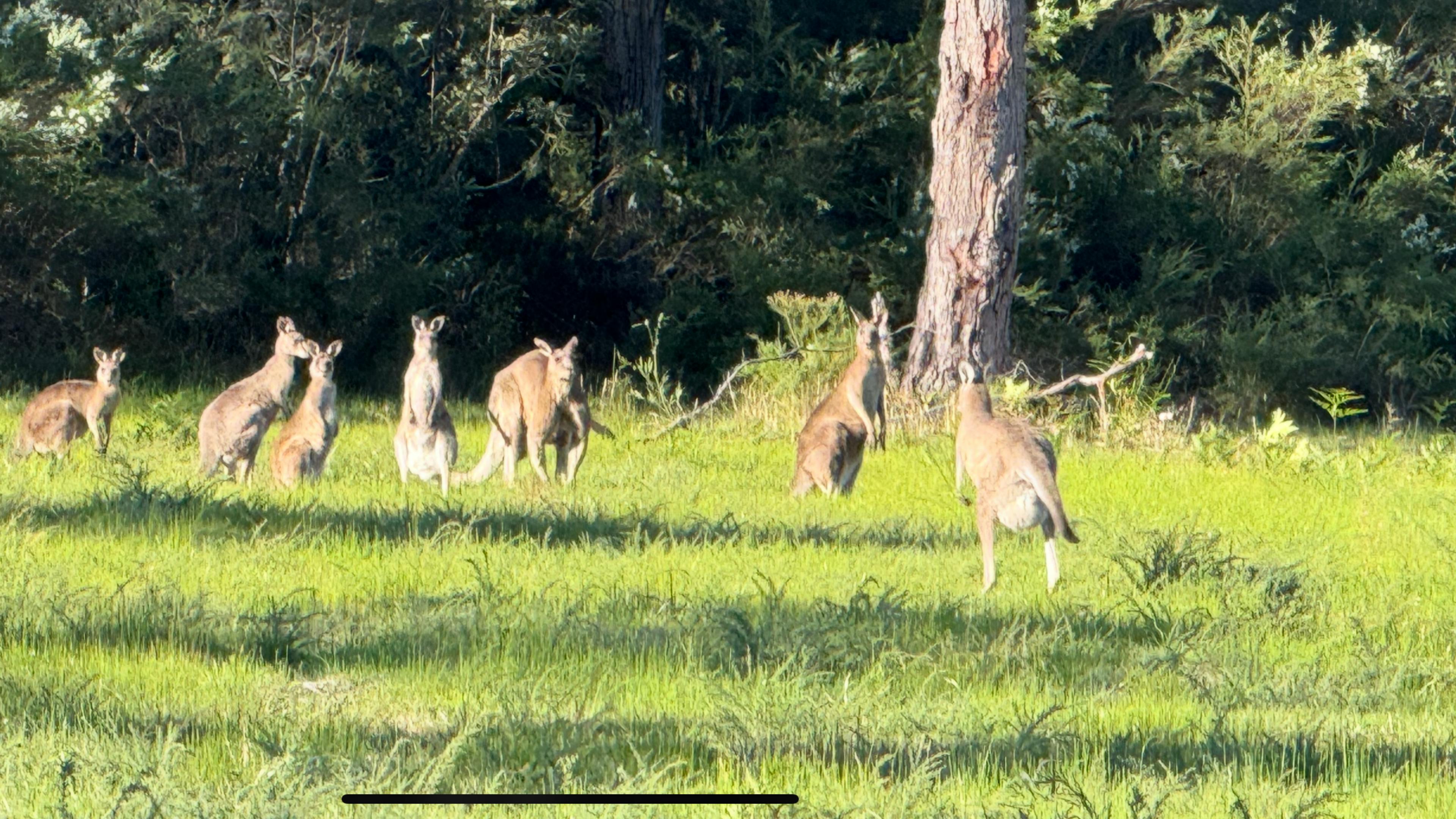 Destination Jervis Bay