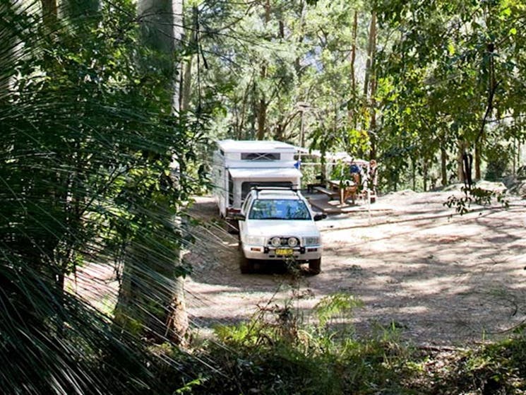 Vehicle camping, Watagans National Park. Photo: Susan Davis/DPIE