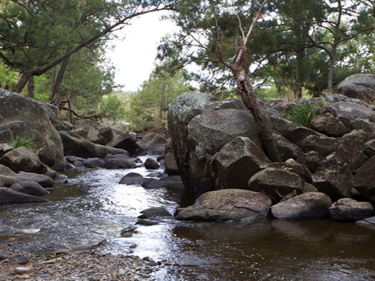 Gara Gorge, Oxley Wild Rivers National Park. Photo: Rob Cleary &copy; DPIE