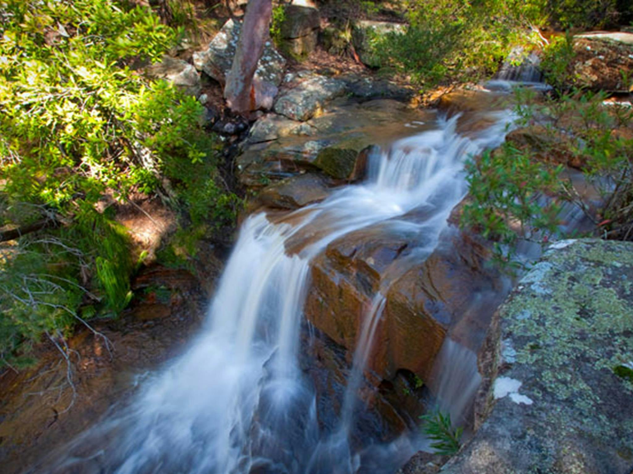 Garawarra State Conservation Area. Foto: Nick Cubbin © DPIE