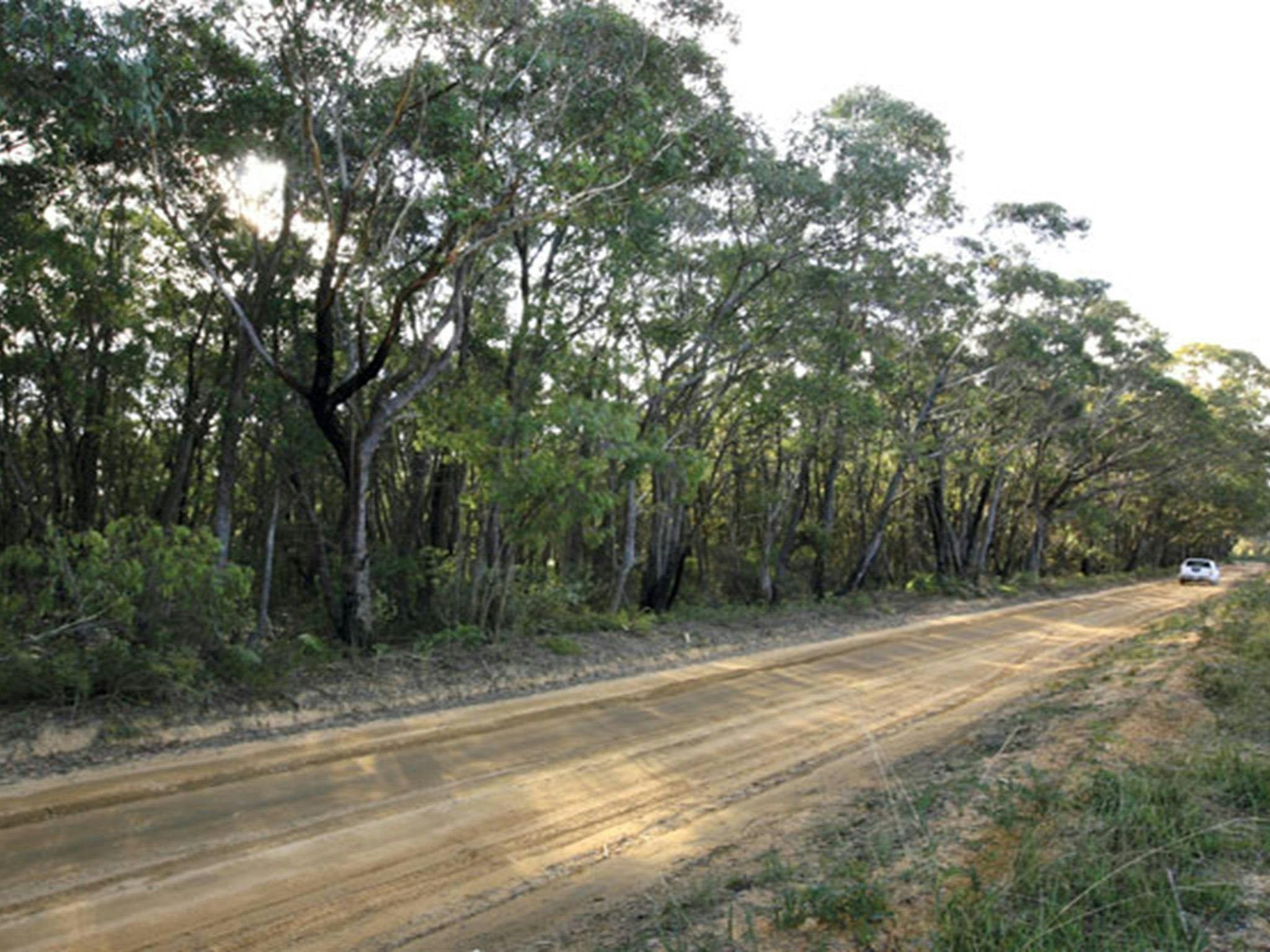 Zweihundertjahr-Pfad, Gardens of Stone Nationalpark. Foto: R. Nicolai/Regierung von New South Wales