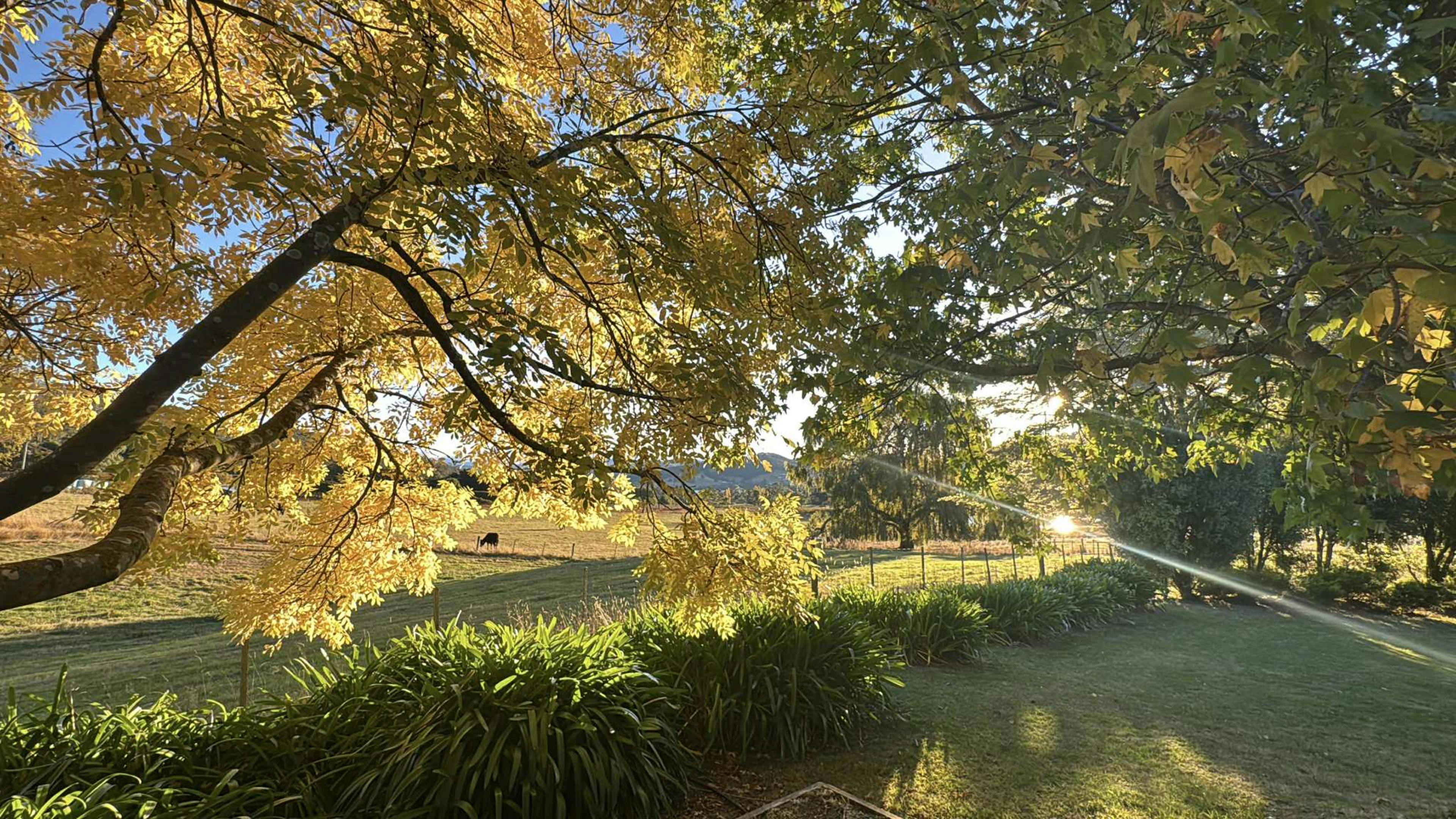 Gardners bay Misty mountain homestead