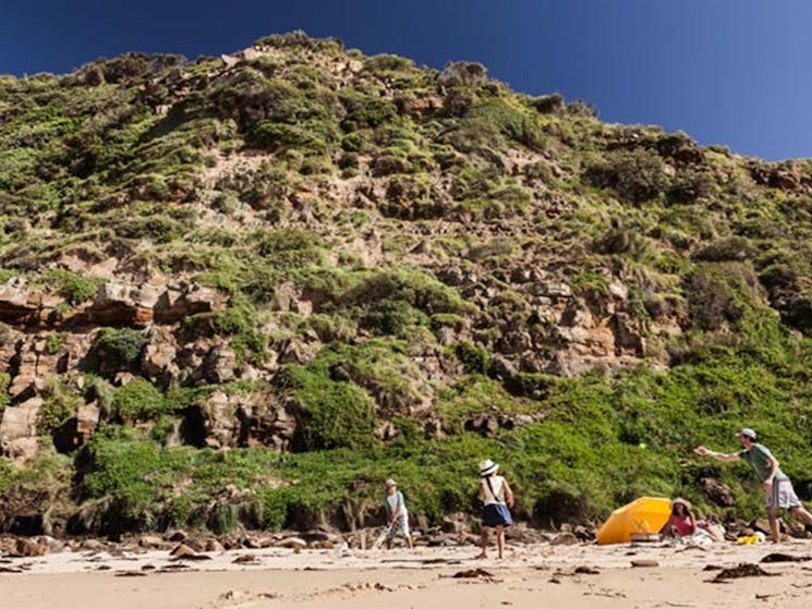 Garie Beach, Royal National Park. Photo: David Finnegan/NSW Government