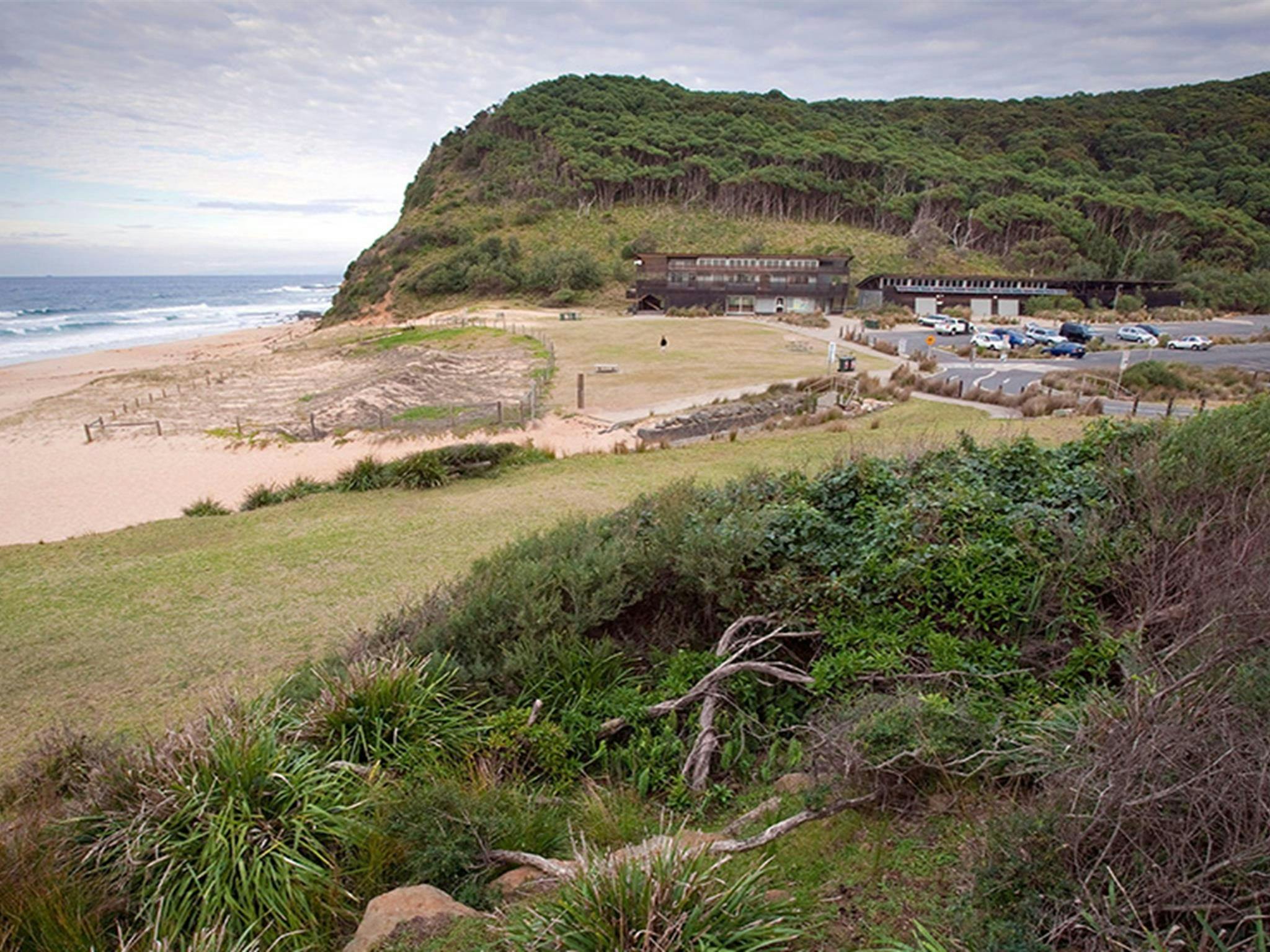 Der Picknickplatz Garie Beach ist von der Buschlandschaft des Royal-Nationalparks umgeben. Foto: Nick Cubbin / DCCEEW